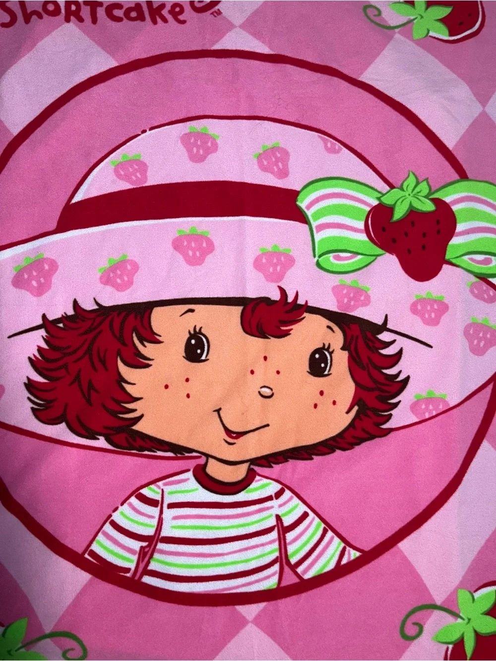 Vintage Y2K Strawberry Shortcake Fleece Throw Blanket Pink Kids 44x60 Soft